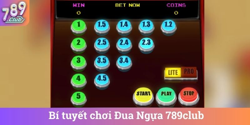 Bi tuyet choi Dua Ngua 789club Bí tuyết chơi Đua Ngựa 789club