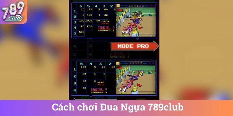 Cach choi Dua Ngua 789club Cách chơi Đua Ngựa 789club